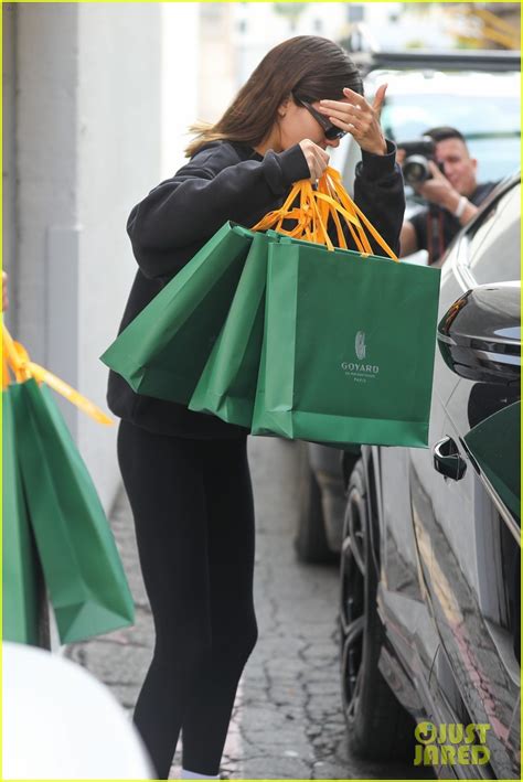 Kendall Jenner Goes Luxury Holiday Shopping at Goyard